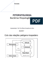 Fitopatologia:: Bactérias Fitopatogênicas