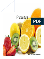 Fruticultura Bases