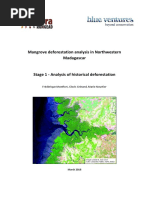 Mangroves Deforestation Analysis Ne Madagascar