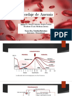 Abordaje de Anemia