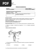 Diagnóstico Ciencias 8° Básico