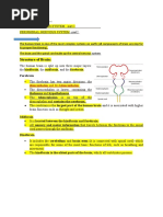 Structure of Brain Nervous System-20-04-2020