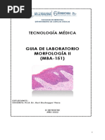 Guia de Laboratorio Morfología Ii (MBA-151) : Tecnología Médica