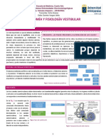 Anatomía y Fisiología Vestibular