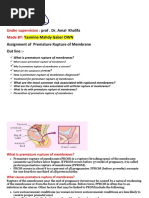 Assigment د امل خليفه