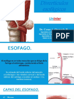 Diverticulos Esofagicos..Dr. Cesar Q.