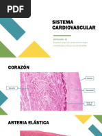 Ficha de Histología - Sistema Cardiovascular y Aparato Digestivo 1