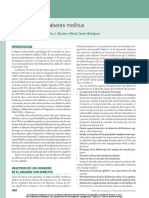 El Anciano Con Diabetes Mellitus: Leocadio Rodríguez Mañas, Alan J. Sinclair y Marta Castro Rodríguez