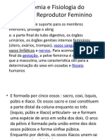 AULA 2 Anatomia e Fisiologia Do Aparelho Reprodutor Feminino