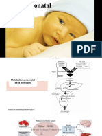 Ictericia Neonatal