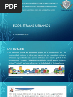 Ecosistema Urbanos