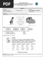 Guia N. 3 Sustantivos y Sus Clases