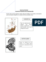 Actividad Adelantos Técnicos de Navegación PAUTA