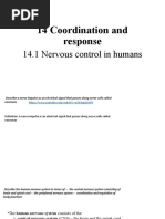 14 Coordination and Response: 14.1 Nervous Control in Humans