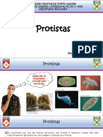 Protistas: Colégio Militar de Porto Alegre Divisão de Ensino/ Coordenação Do 2º Ano Disciplina: Biologia