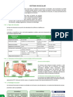 2 Contenido Sistema Muscular