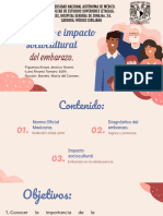 Diagnóstico e Impacto Sociocultural Del Embarazo.