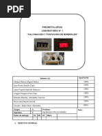 Pirometalurgia Laboratorio #1 "Calcinación Y Tostación de Minerales"