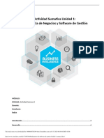 Actividad Sumativa Unidad 1: Inteligencia de Negocios y Software de Gestión