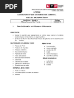 Informe Lab N°2 Microbiologia