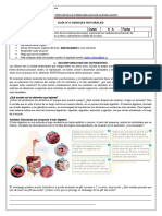 Guia 3. Pedro Salinas. 8 Básico A. Ciencias Naturales. Unidad 1. Sistema Digestivo.