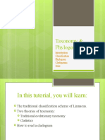 Taxonomy & Phylogeny: Classification Phylogeny Cladograms Quiz