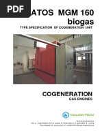 Stratos MGM 160 Biogas: Cogeneration