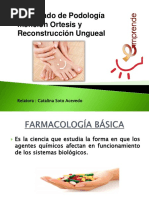 Farmacologia Basica