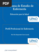 S - 01 - Perfil Profesional de Enfermería