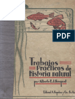 Trobojos: Prácticos