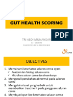 Gut Health Scoring