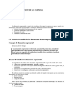 Tema 4: La Dimensión de La Empresa