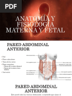 Anatomía Y Fisiología Materna Y Fetal: Pedro Antonio Aguilar Villalobos