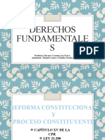 Derechos Fundamentale S: Profesora Doctora Carmen Luz Parra. Ayudantes: Daniela Lanas y Pamela Noseda