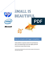 Small Is Beautiful