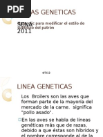 Lineas Geneticas