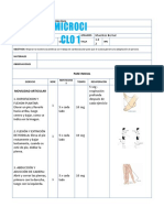 Microci Clo 1: Fase Inicial