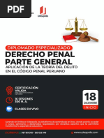 Brochure Diplomado Derecho Penal Parte General