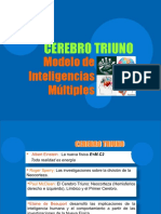 Cerebro Triuno 1