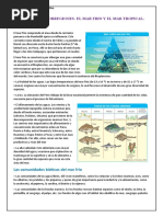 Tema N°2-Las Ecorregiones-Mar Frio y Mar Tropical