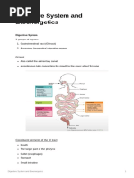 Digestive System and Bioenergetics Notes