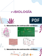 Fisiología - S6