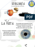 Fisiología: Del Sistema de La Vista