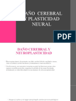 Presentacion Plasticidad Neural