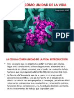 BIOLOGÍA GENERAL - 2o PÉRÍODO - LA CÉLULA