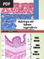 Histología Del Sistema Respiratorio