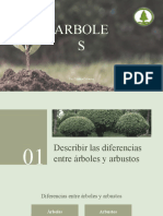 Especialidad Arboles