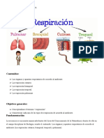 Respiración (Biología) .