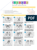 Apuntes Embarazo Normal Práctica