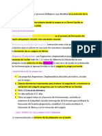 Hemostasia: Coagulación: Fases de La Hemostasia